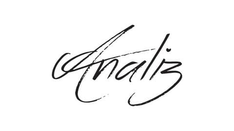 Analiz Consultancy